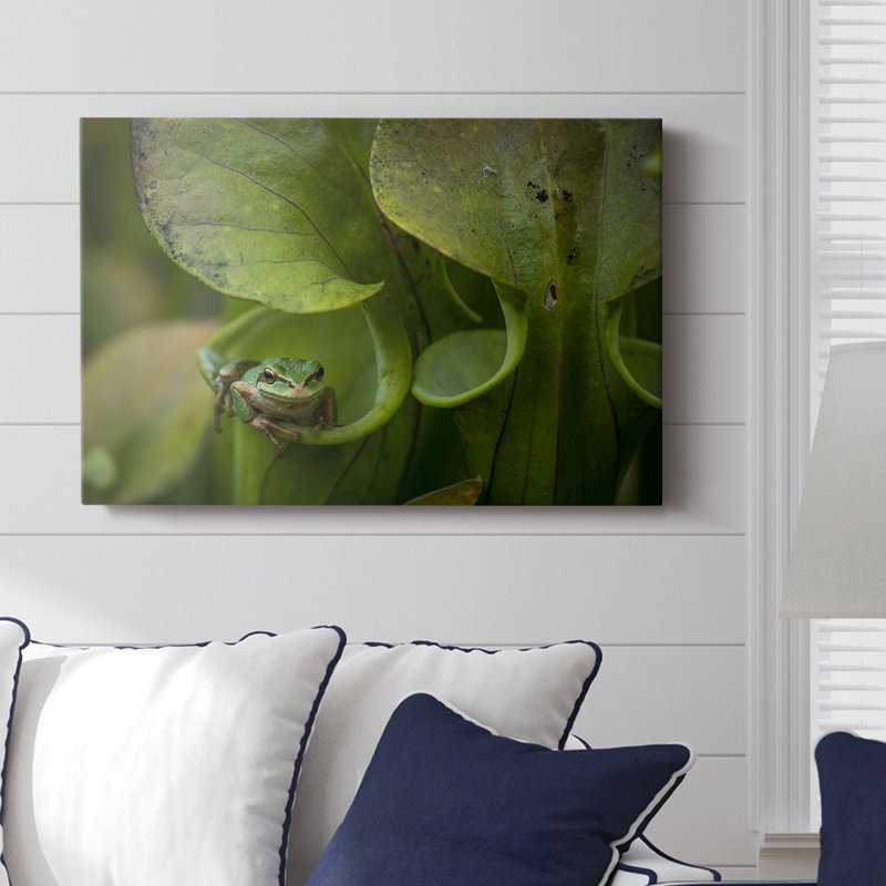 Arboreal Refuge -Custom Wrapped Gallery Cavas