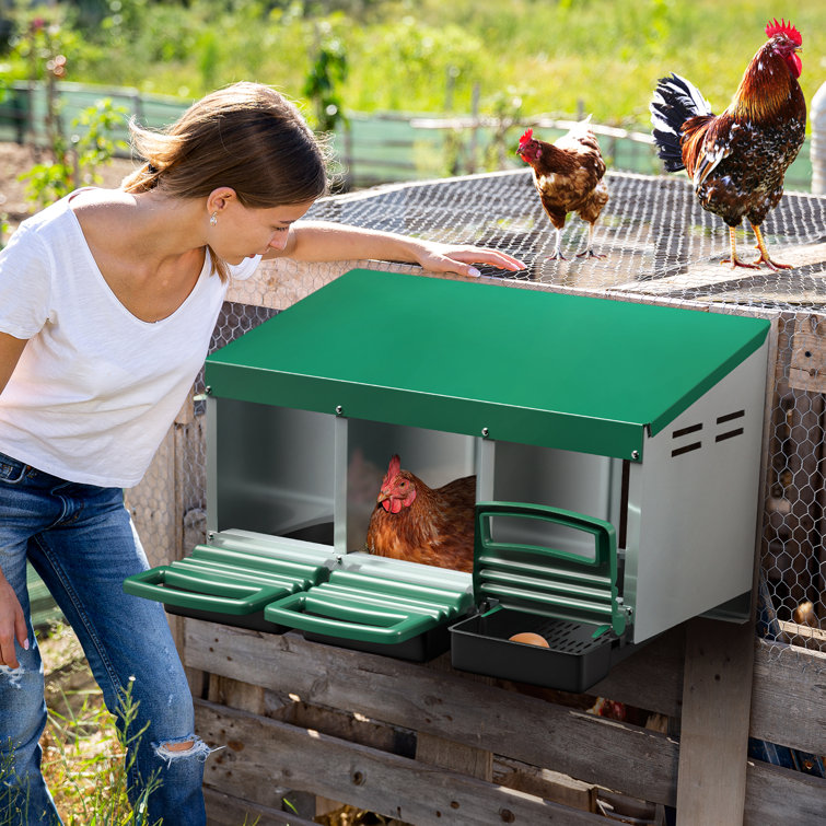 Homestead essentials 3 Compartment Roll Out Nesting Box for Chickens