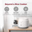 CUCKOO Basic Rice Cooker 10-Cup Uncooked / 20-Cup Cooked, Large Rice Maker and Warmer with Nonstick Inner Pot, Easy to Use with Auto Keep Warm, Includes Steam Tray, White (CR-1095)