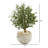 Artificial Olive Tree in Bowl Planter