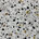 Speckled Mosaic