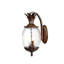 Lanterne murale d'extérieur à 1 ampoule H 18 po Arlesey-23586376