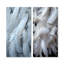«Light As A Feather», ensemble de 2 reproductions d'art mural en métal-102687031