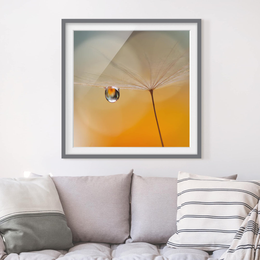 Gerahmtes Papierbild Pusteblume in Orange