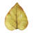 Forest Walk Leaf Plate Assorted 4 - Piece Set