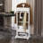 Portable Garment Rack,Clothes Valet Stand With Storage Organizer-1484649341