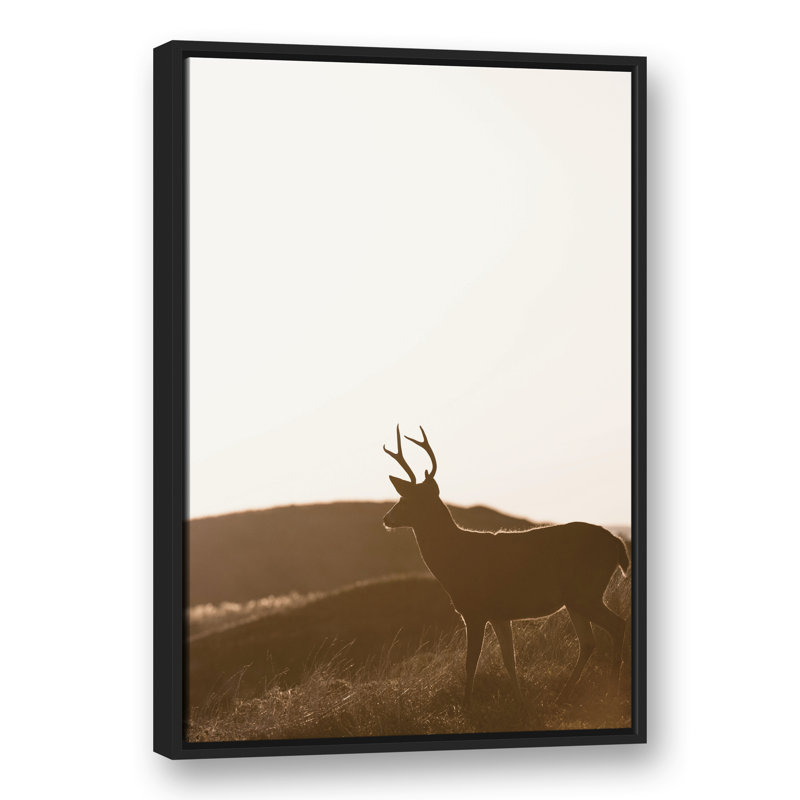 Morning Deer - imprimé, H 37,75 po x l 25,75 po x P 1,75 po, Cadre flottant noir