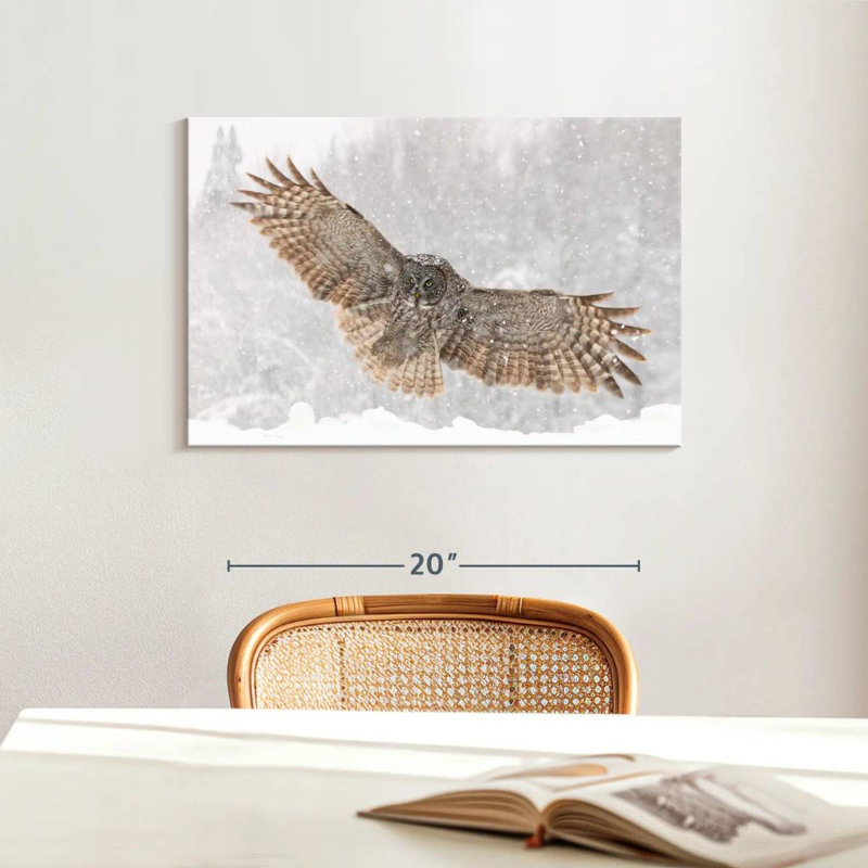 Brampt Blizzard Owl, 16" H x 24" W