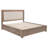 Gibbons Eastern King LED Storage Bed