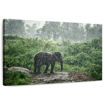 Elephant Rain Bath