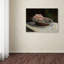 « still life », impression sur toile tendue-22565867