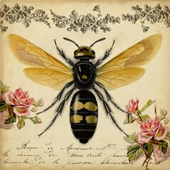 The Stupell Home Decor Collection Anatomy of Honey Bee Pun Charming Bee's  Knees by Daphne Polselli Floater Frame Animal Wall Art Print 17 in. x 21  in. ac-252_ffb_16x20 - The Home Depot