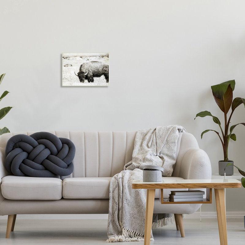 «Bullland Country Farming Country» par Daniel Sproul, L 15 po x H 10 po, Toile tendue