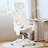 Cream Ergonomic Office Chair - High Back Mesh Chair With Footrest, 2D Adjustable Lumbar Support, Headrest & Spring Cushion (Reclining)