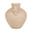 Vase en terre cuite fabriqué à la main avec deux poignées - Accent décoratif intemporel pour tout espace-520213858