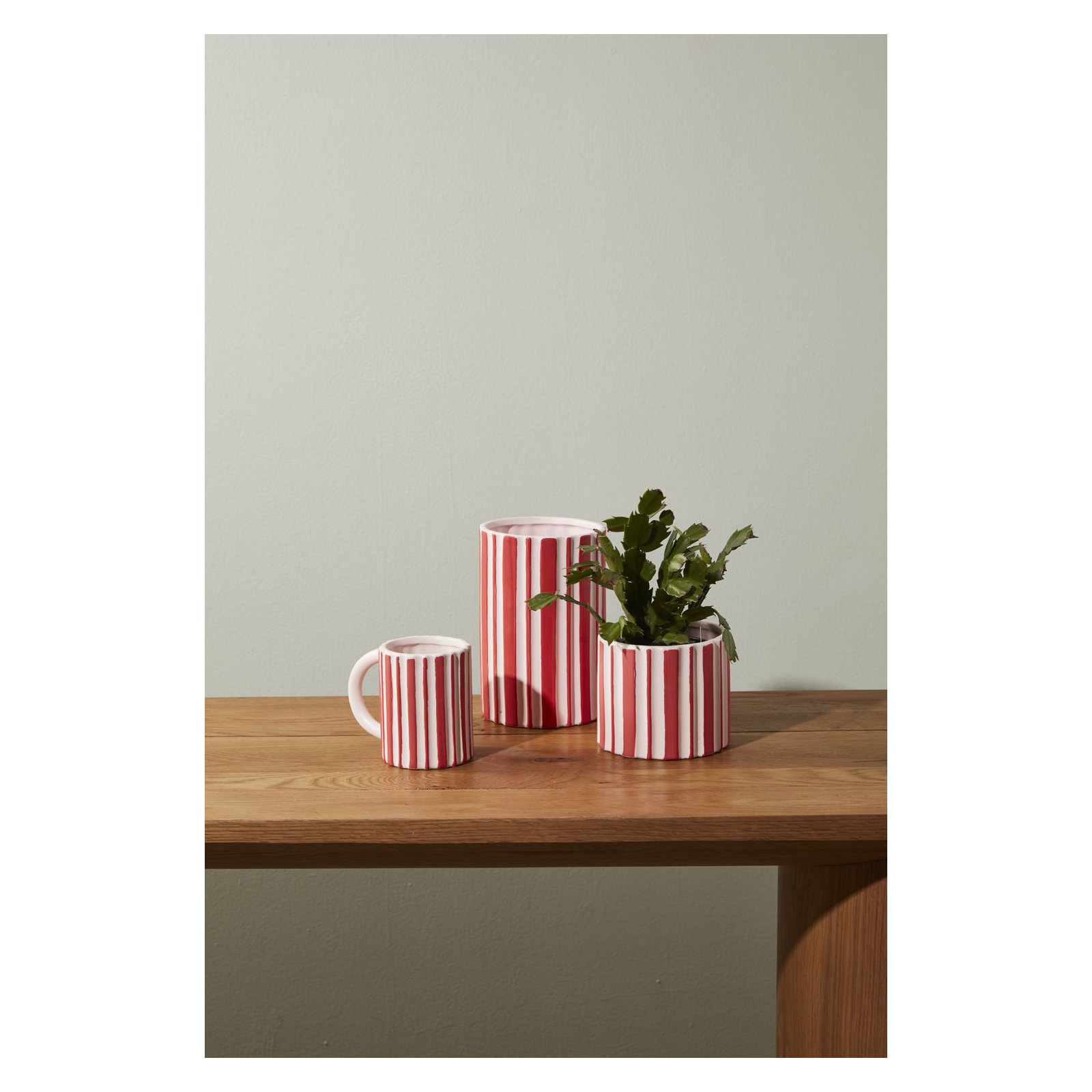 Ceramic Pot Planter