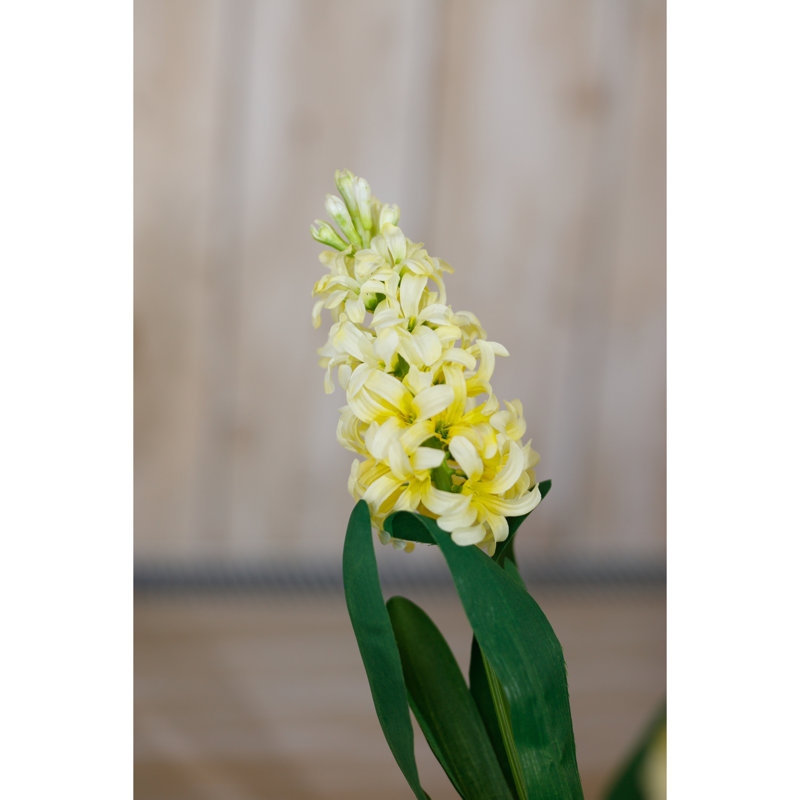 Anastasija Arrangement, Yellow, 44 cm H x 4 cm W x 4 cm D