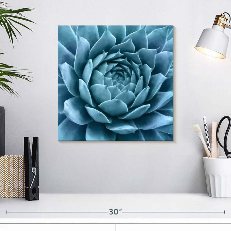 Harnek Silvery Blue Agave