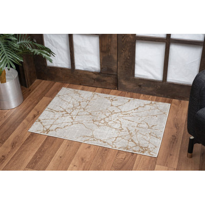 2 ft. x 3 ft. Area Tersillo