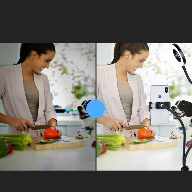 LINKPAL Electronic Mount