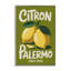 Citron Palermo Lemons, estampe numérique, design par Andreas Magnusson-1062323938-1062323939