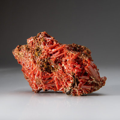 Crocoite de la mine de plomb rouge, Dundas, Tasmania, Australie