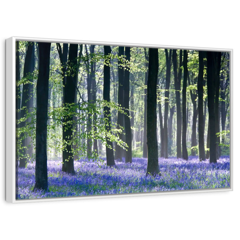 Bluebell Vision, Cadre flottant blanc, 37 po x 25 po
