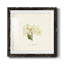 Cornales Hydrangea I-Premium, reproduction encadrée - prête à être accrochée-572604960-572652540-572604966