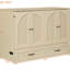 Lit double de couleur dorée, option d'espace pour les pièces multifonctionnelles, vêtements à tiroirs, lit pliable d'apparence, petits espaces idéaux, design, grands tiroirs, décoration
