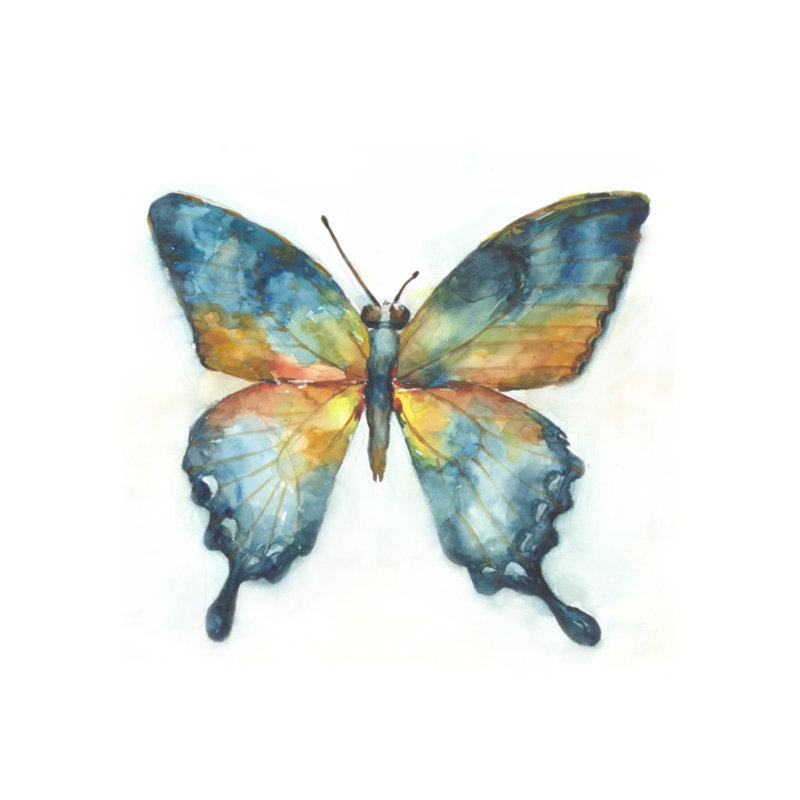 Vibrant Butterfly I Print by Beverly Fuller, Glass Coat, 24" H x 24" W x 1.5" D