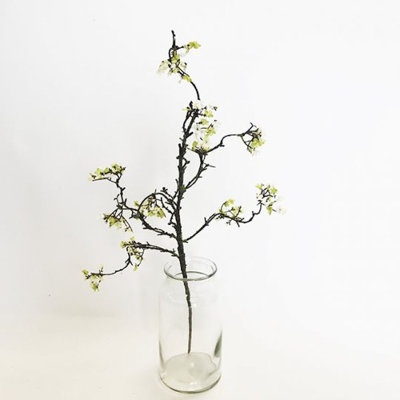 Hydrangea Arrangement in Vase