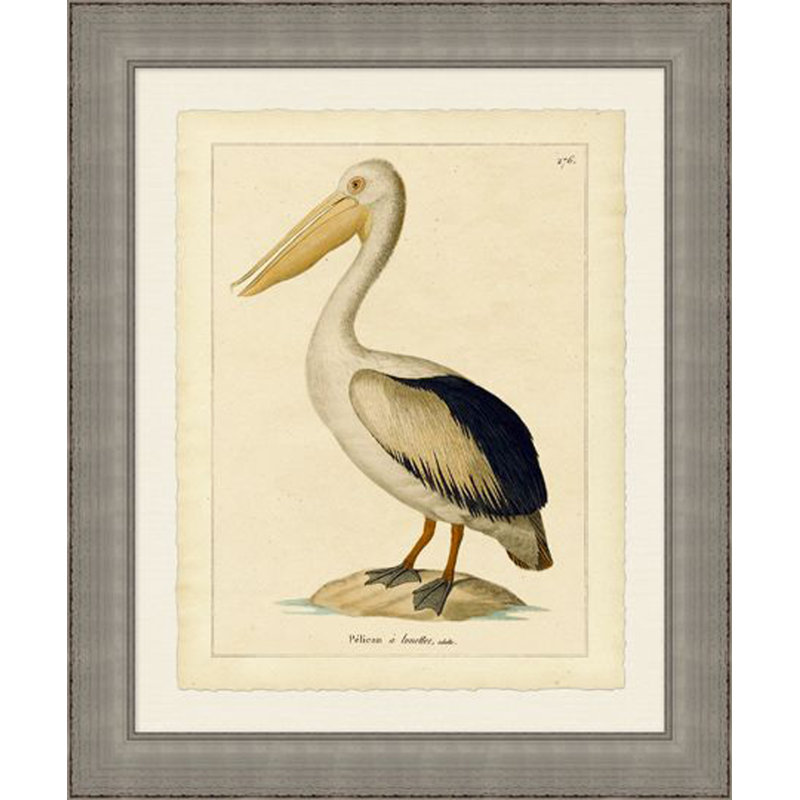 Pelican Print