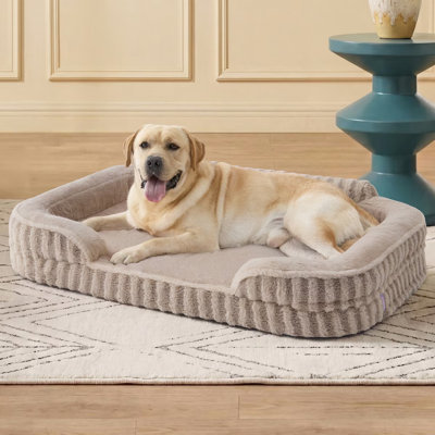 Lit pour chien Lesure, lit orthopédique imperméable pour animaux de compagnie avec côtés, fond antidérapant à haut dossier et canapé en mousse pour caisse d'œufs avec housse amovible et lavable