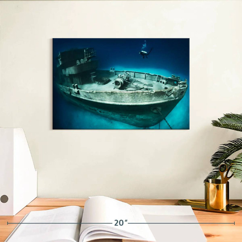 Senne Kittiwake Shipwreck, 8" H x 12" W