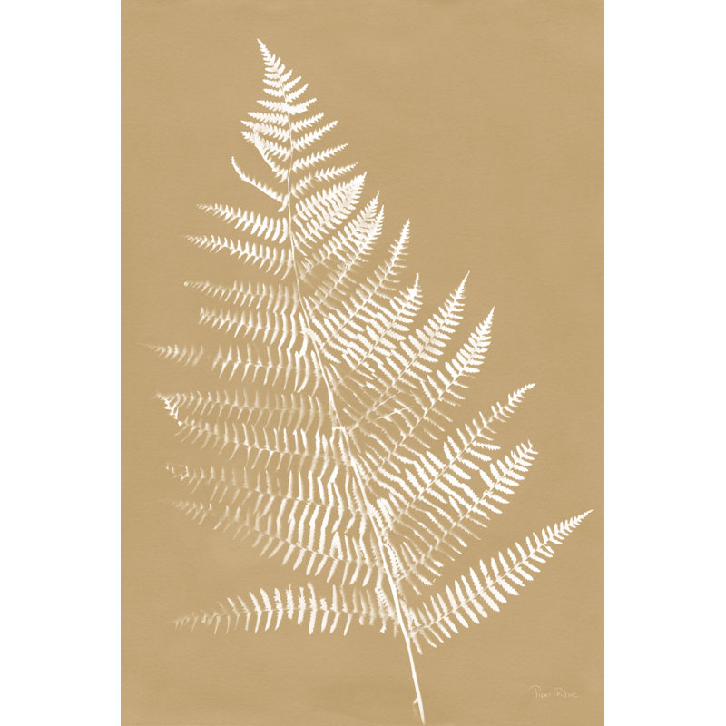 Nature By The Lake Ferns VI Brown by Piper Rhue - Wrapped Canvas Painting, 46cm H x 30cm W