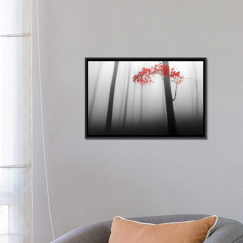 «Illusion», impression sur toile, H 18 po x l 26 po x P 1,5 po, Toile avec cadre noir, Pas de tapis