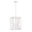 Luminaire suspendu 4 lumières Birch en blanc-2053175706