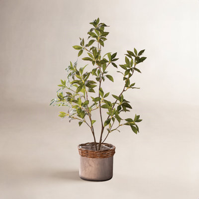Gant Faux Tree