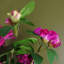 40cm Faux Flowering Plant in Pot Liner-75959567