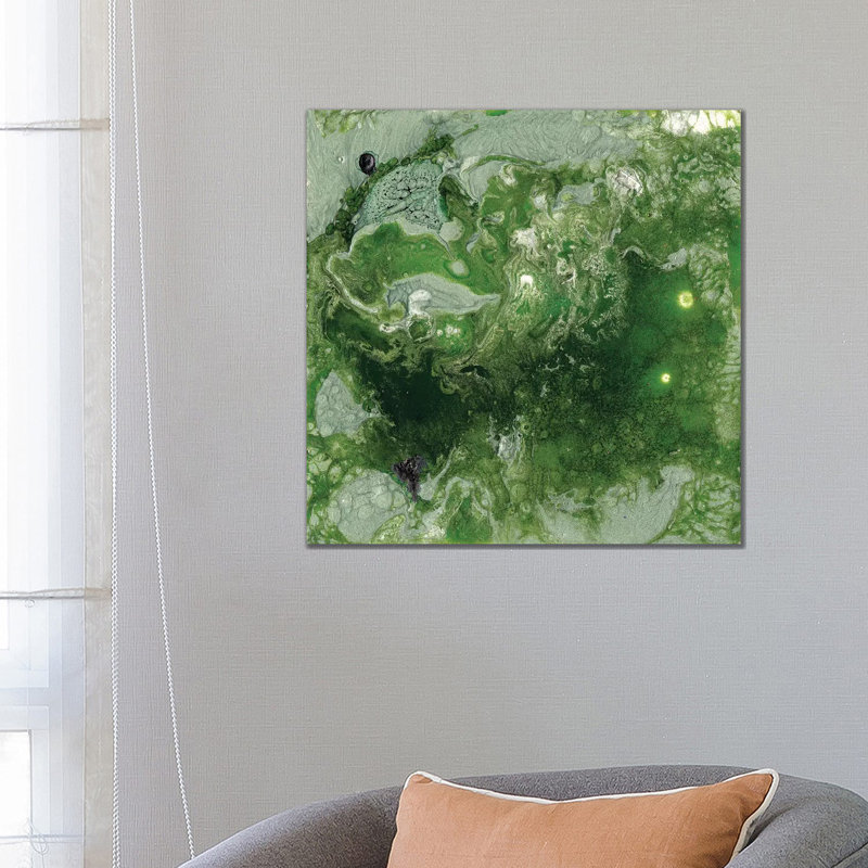 Pangaea I by Alicia Ludwig - Wrapped Canvas Painting, 66.04 cm H x 66.04 cm W