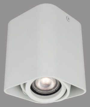 Flush Mount
