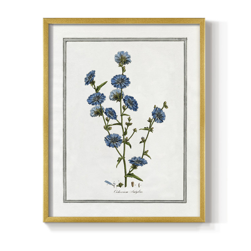 «Soft Botanical I», reproduction encadrée - bois massif