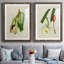 Impression encadrée Elegant Tropicals IPremium - prête à être accrochée-84878290-84878293-84713513