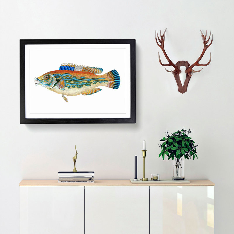 Striped Bass Fish by Edward Donovan - Framed Print, 48cm H x 65cm W x 2cm D, Black Framed