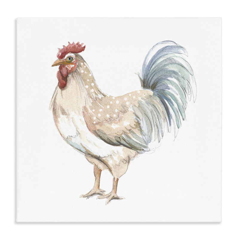 Aquarelle, dessin d'un coq sur toile, design par Patricia Pinto, H 17 po x l 17 po