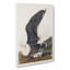 Black-Backed Gull - Wrapped Canvas Painting-55371669