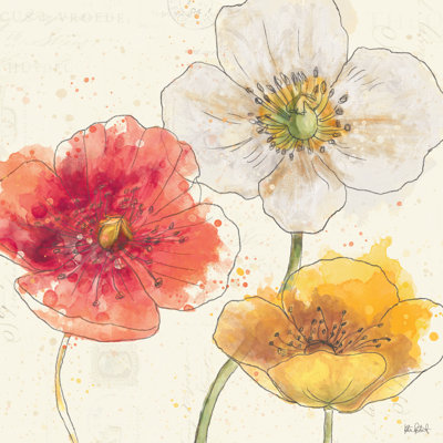Painted Poppies IV by Katie Pertiet - Wrapped Canvas Painting