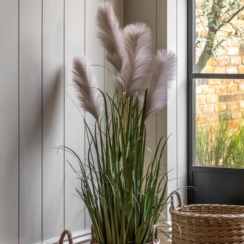 Potted Grass with Pampas Seed Heads (5pk) 1270mm