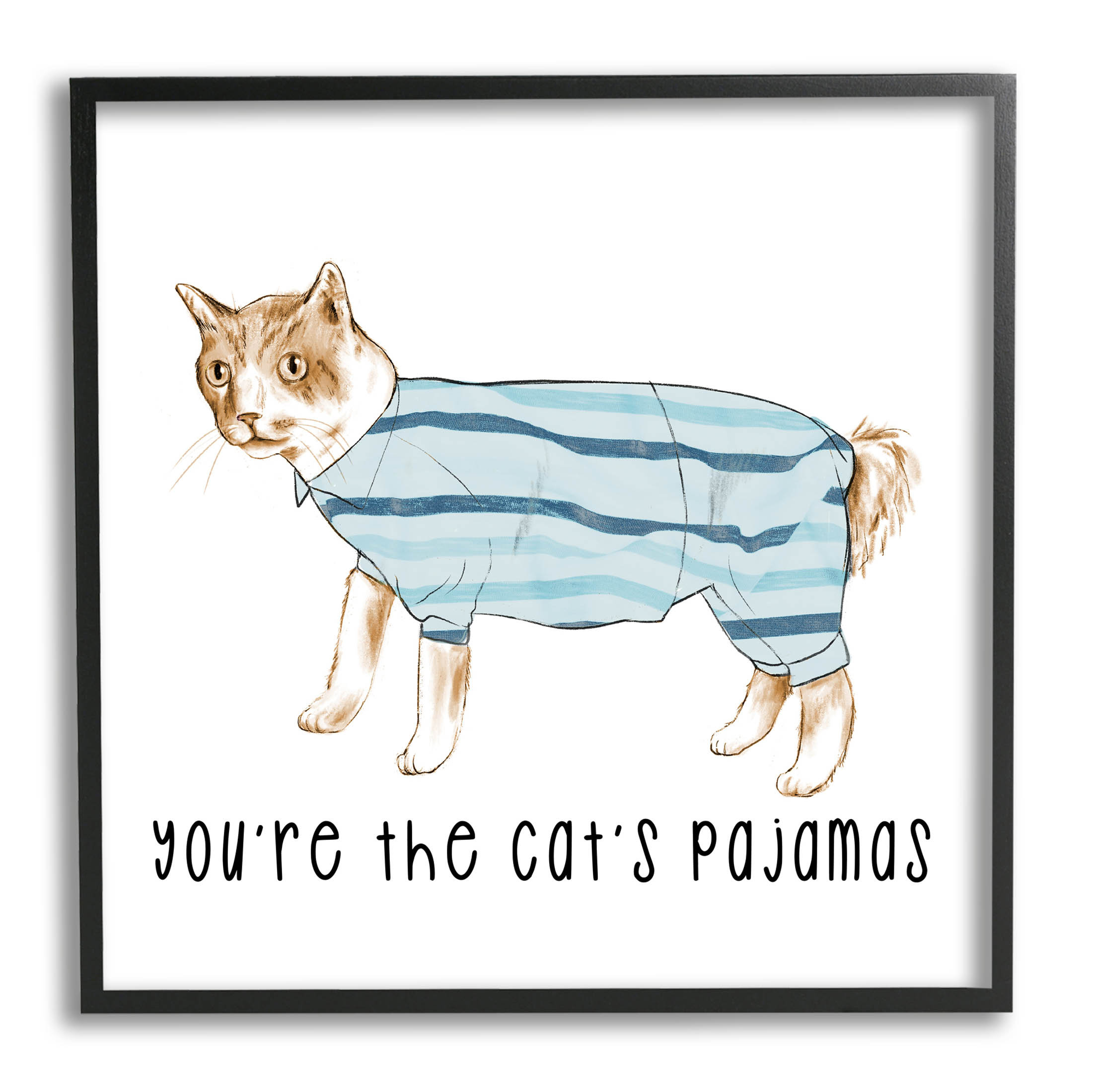https://assets.wfcdn.com/im/94895794/compr-r85/2318/231863047/the-cats-pajamas-phrase-framed-on-canvas-by-lil-rue-textual-art.jpg