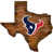 Houston Texans